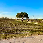 Du Mas - Saphir Appartement Aigues-Mortes