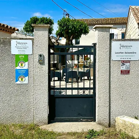 Du Mas - Saphir * איגוס-מורטס