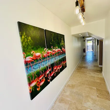 Appartement Du Mas - Saphir